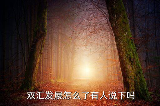  雙匯發(fā)展怎么了有人說下嗎