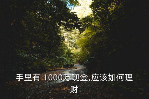 手里有 1000萬現(xiàn)金,應該如何理財