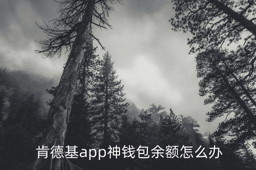  肯德基app神錢包余額怎么辦