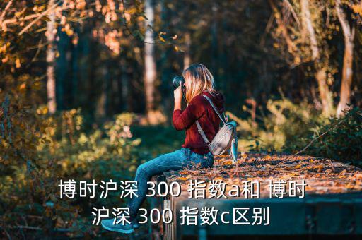  博時滬深 300 指數a和 博時滬深 300 指數c區(qū)別