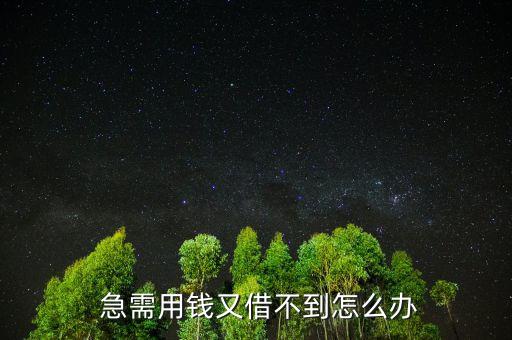  急需用錢又借不到怎么辦