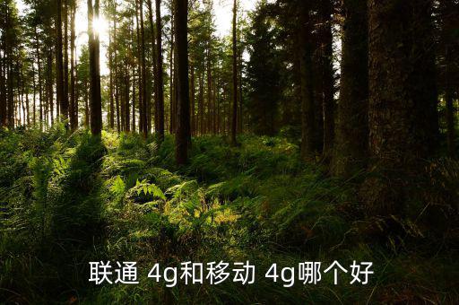  聯(lián)通 4g和移動(dòng) 4g哪個(gè)好