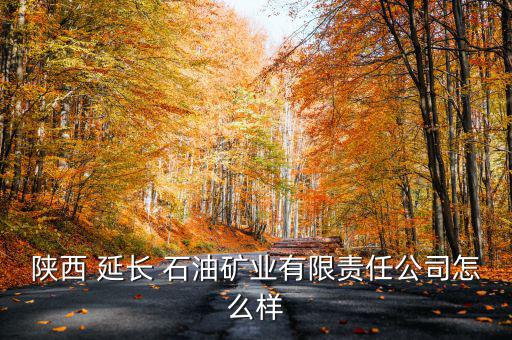 陜西 延長(zhǎng) 石油礦業(yè)有限責(zé)任公司怎么樣