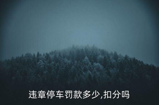 濟南中顧法商怎么樣,綠色停車告知單會被扣分嗎?不需要付費!