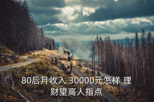 80后月收入 30000元怎樣 理財望高人指點