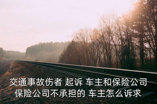 交通事故傷者 起訴 車主和保險公司保險公司不承擔的 車主怎么訴求