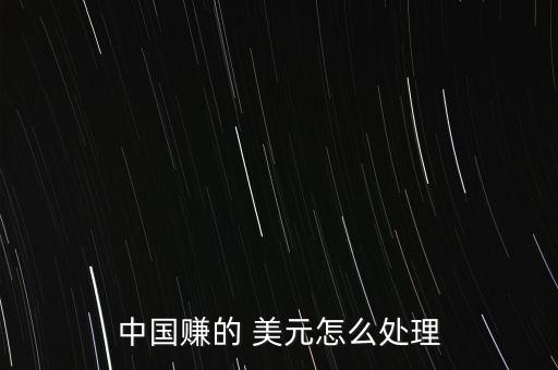 中國賺的 美元怎么處理