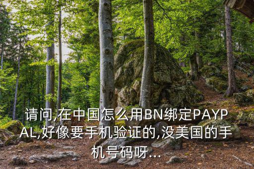 請(qǐng)問(wèn),在中國(guó)怎么用BN綁定PAYPAL,好像要手機(jī)驗(yàn)證的,沒(méi)美國(guó)的手機(jī)號(hào)碼呀...