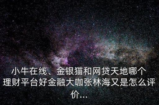  小牛在線、金銀貓和網(wǎng)貸天地哪個 理財平臺好金融大咖張林海又是怎么評價...