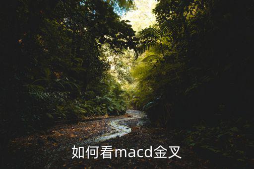 如何看macd金叉