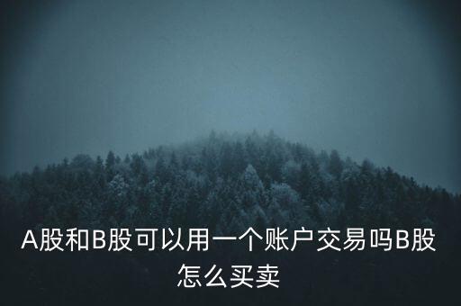 A股和B股可以用一個(gè)賬戶交易嗎B股怎么買賣