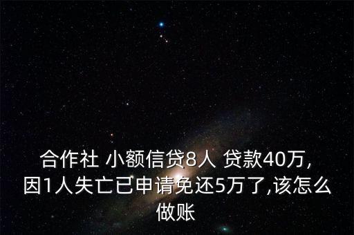 小額貸款公司怎么做帳,出納和會計不是同個人應(yīng)分開記賬和報稅