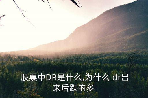  股票中DR是什么,為什么 dr出來(lái)后跌的多