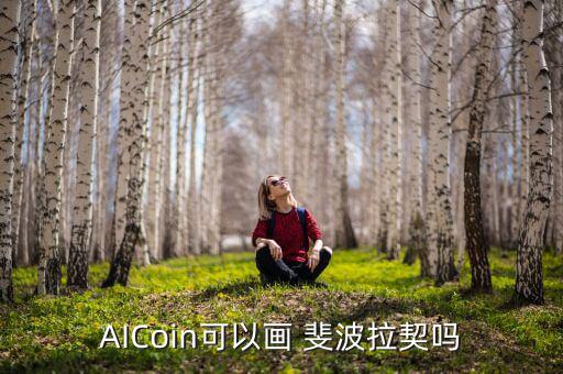 AICoin可以畫 斐波拉契嗎