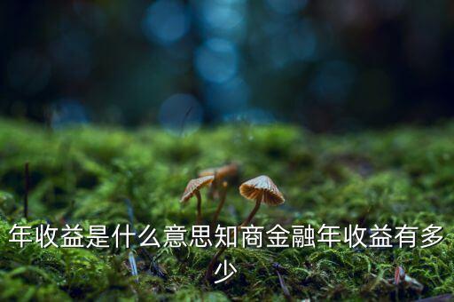 資金占用年收益是什么意思，利息支出中有個(gè)資金占用費(fèi)這個(gè)是什么意思