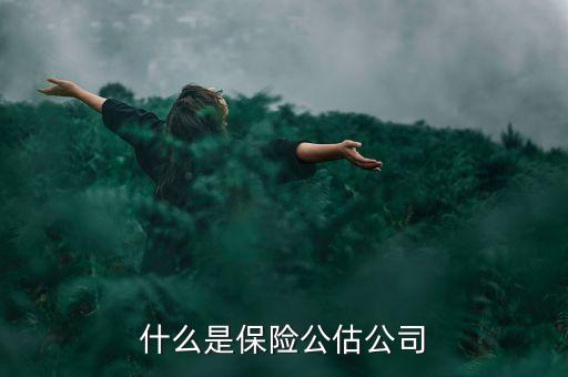 什么是承保公估，保險中的公估是什么概念