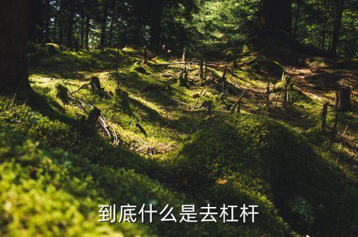 什么是去杠桿去產(chǎn)能，到底什么是去杠桿