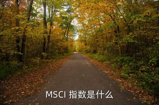 MSCI 指數(shù)是什么