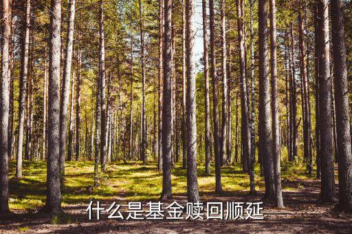 巨額贖回順延什么意思，什么是基金贖回順延