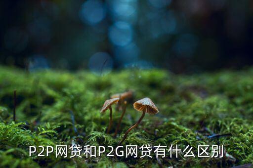 p2g與ppp有什么區(qū)別，P2G是什么意思