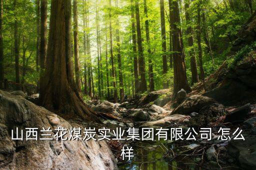 山西蘭花煤炭實業(yè)集團有限公司 怎么樣