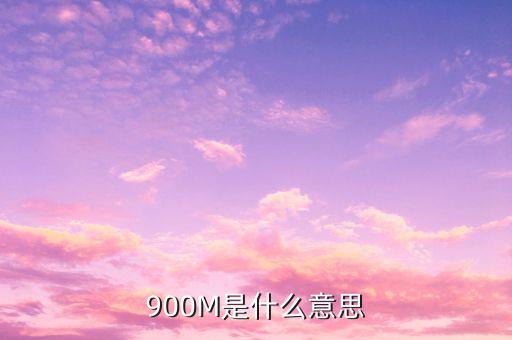 負(fù)債900m是什么意思，900m是什么意思