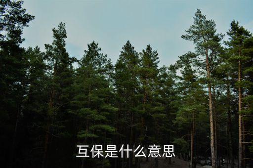 煤電互保什么意思，煤炭漲價對電力股是好是壞啊