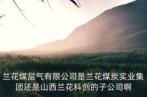 山西蘭花有什么煤層氣公司，山西蘭花煤炭實業(yè)集團有限公司