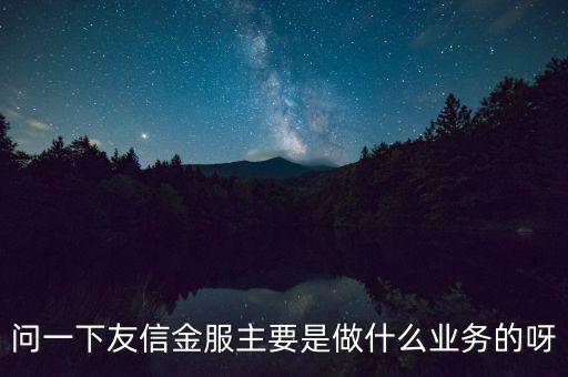 問一下友信金服主要是做什么業(yè)務的呀