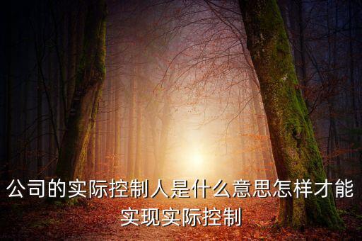 公司的實際控制人是什么意思怎樣才能實現(xiàn)實際控制