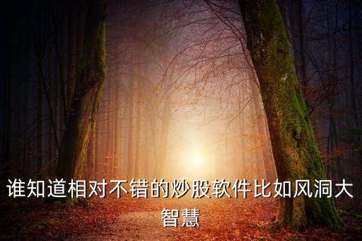 誰知道相對(duì)不錯(cuò)的炒股軟件比如風(fēng)洞大智慧