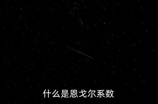 什么是恩戈?duì)栂禂?shù)