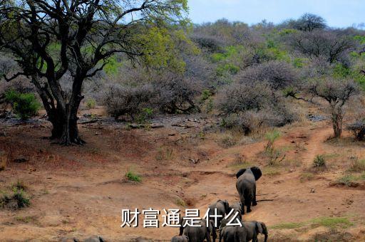 財(cái)富通是什么