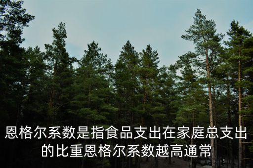 什么是恩格爾系數(shù)法，什么是恩戈爾系數(shù)