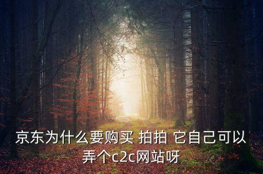 京東為什么要購買 拍拍 它自己可以弄個c2c網(wǎng)站呀