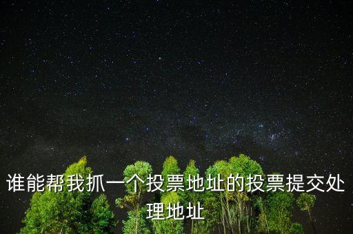 投票提交處理地址是什么，提交投票的問題怎么處理