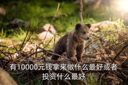 有10000元錢拿來(lái)做什么最好或者投資什么最好