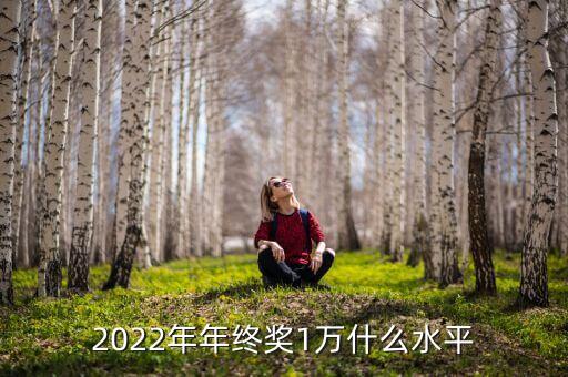 2022年年終獎(jiǎng)1萬什么水平