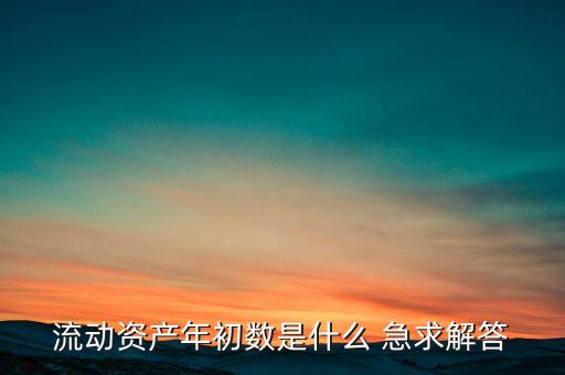 流動資產年初數(shù)是什么 急求解答