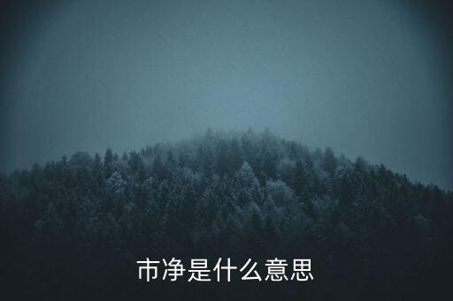 什么叫市凈率，什么是市凈率和市盈率