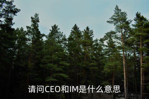 光大富尊IM是是什么，請(qǐng)問(wèn)CEO和IM是什么意思