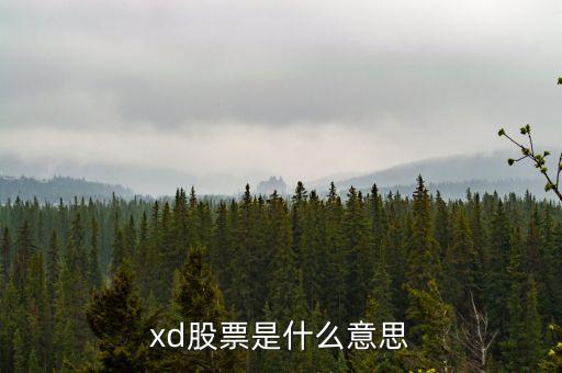 xd股票是什么意思