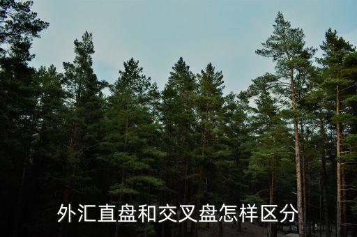 什么叫交叉盤，什么叫交叉盤hg0088誰能跟我指點(diǎn)一下嗎