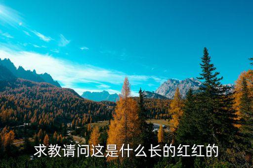 楊定平是什么的會(huì)長(zhǎng)，誰知道華東交大大二的軟件工程部長(zhǎng)也許叫會(huì)長(zhǎng)是誰叫什么名字