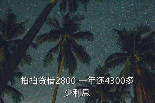 什么是拍拍貸，拍拍貸借2800 一年還4300多少利息