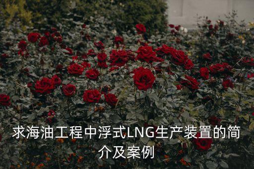 什么是浮式lng項目，什么是浮式LNG