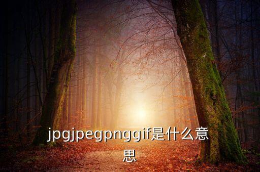 什么是代價(jià)比率，JPG文件會(huì)有病毒嗎