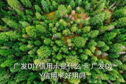 什么是diy信用卡，廣發(fā)DIY信用卡是什么卡 廣發(fā)DIY信用卡好用嗎