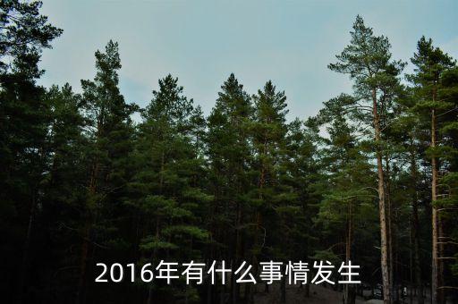 2016年有什么事情發(fā)生