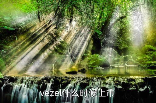 維珍妮集團什么時候上市，vezel什么時候上市